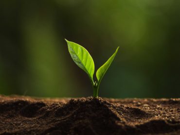 Previdenza complementare: le principali novità 2026